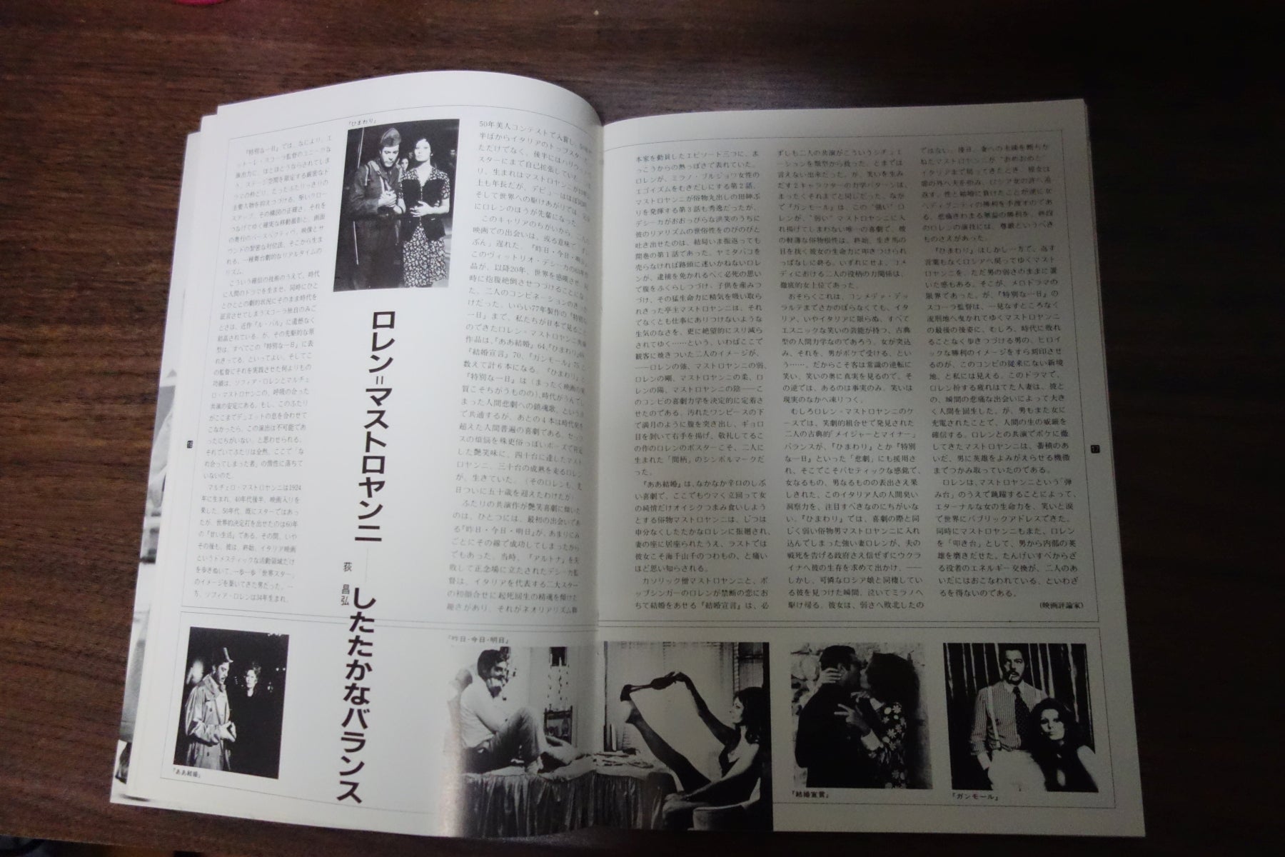 Una Giornata Particolare Japanese Movie Program Pamphlet 1977 Loren Mastroianni