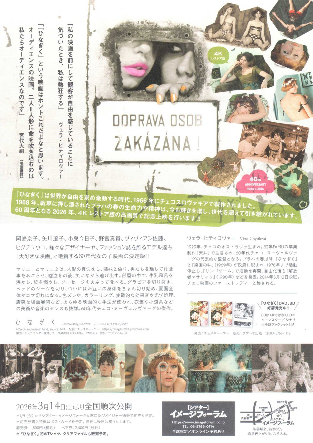 Daisies Sedmikrasky Japanese Chirashi Mini Ad-Flyer Poster 1966 4K