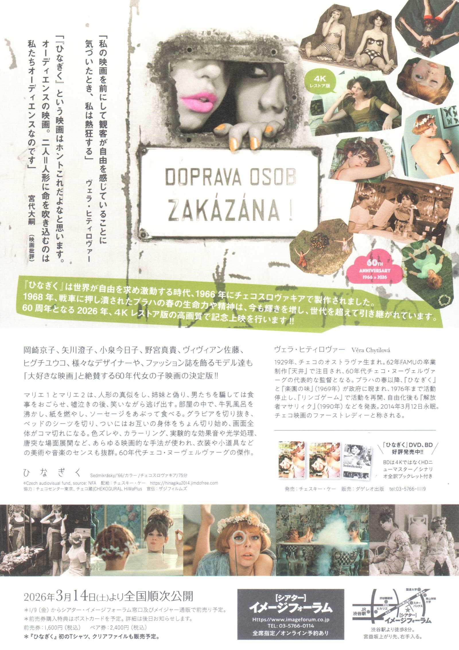 Daisies Sedmikrasky Japanese Chirashi Mini Ad-Flyer Poster 1966 4K