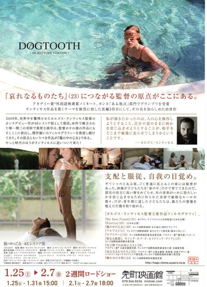 Dogtooth Japanese Chirashi Mini Ad-Flyer Poster 2009R