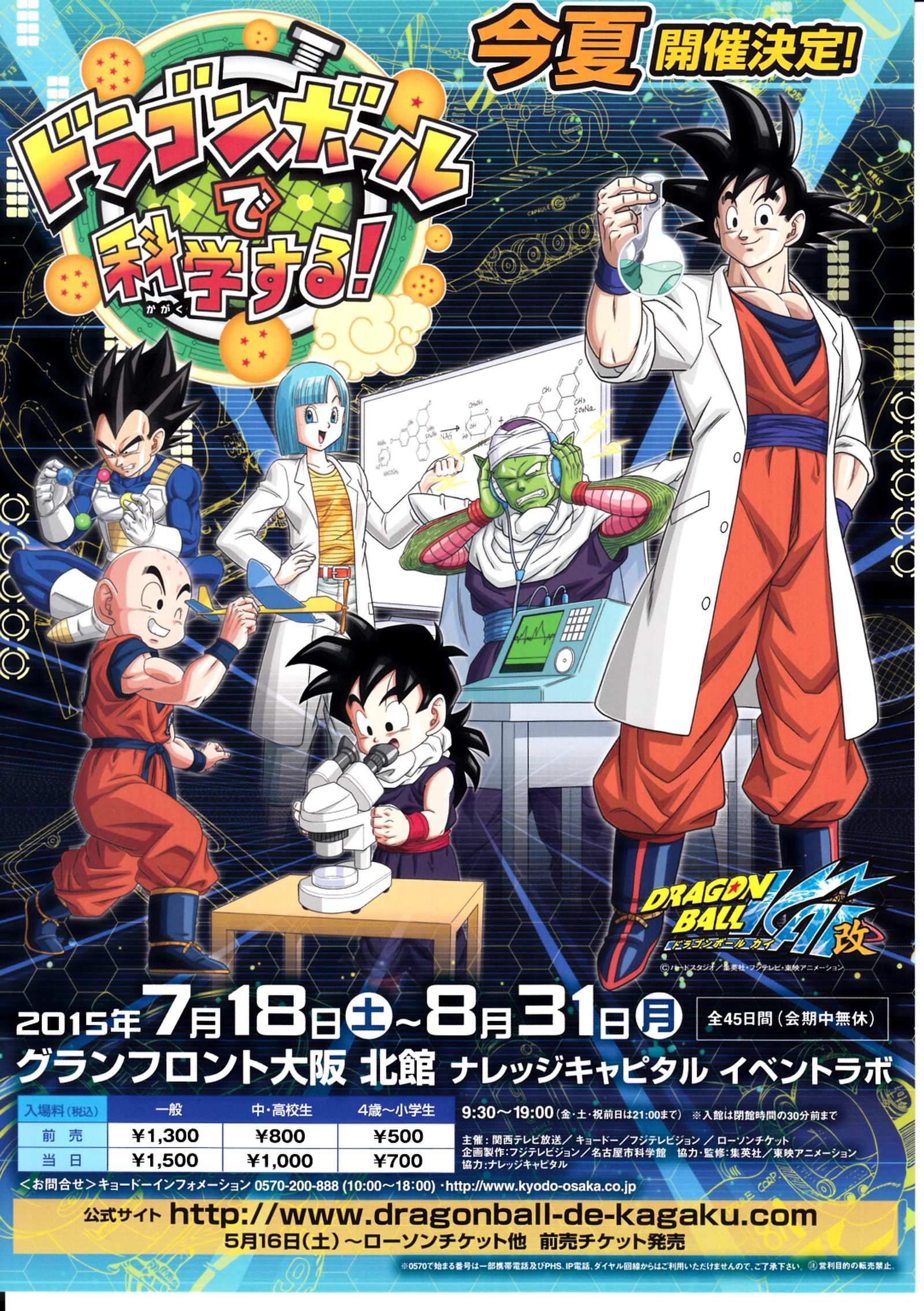 Dragonball Z Japanese Anime Chirashi Mini Ad-Flyer Poster 2015 A