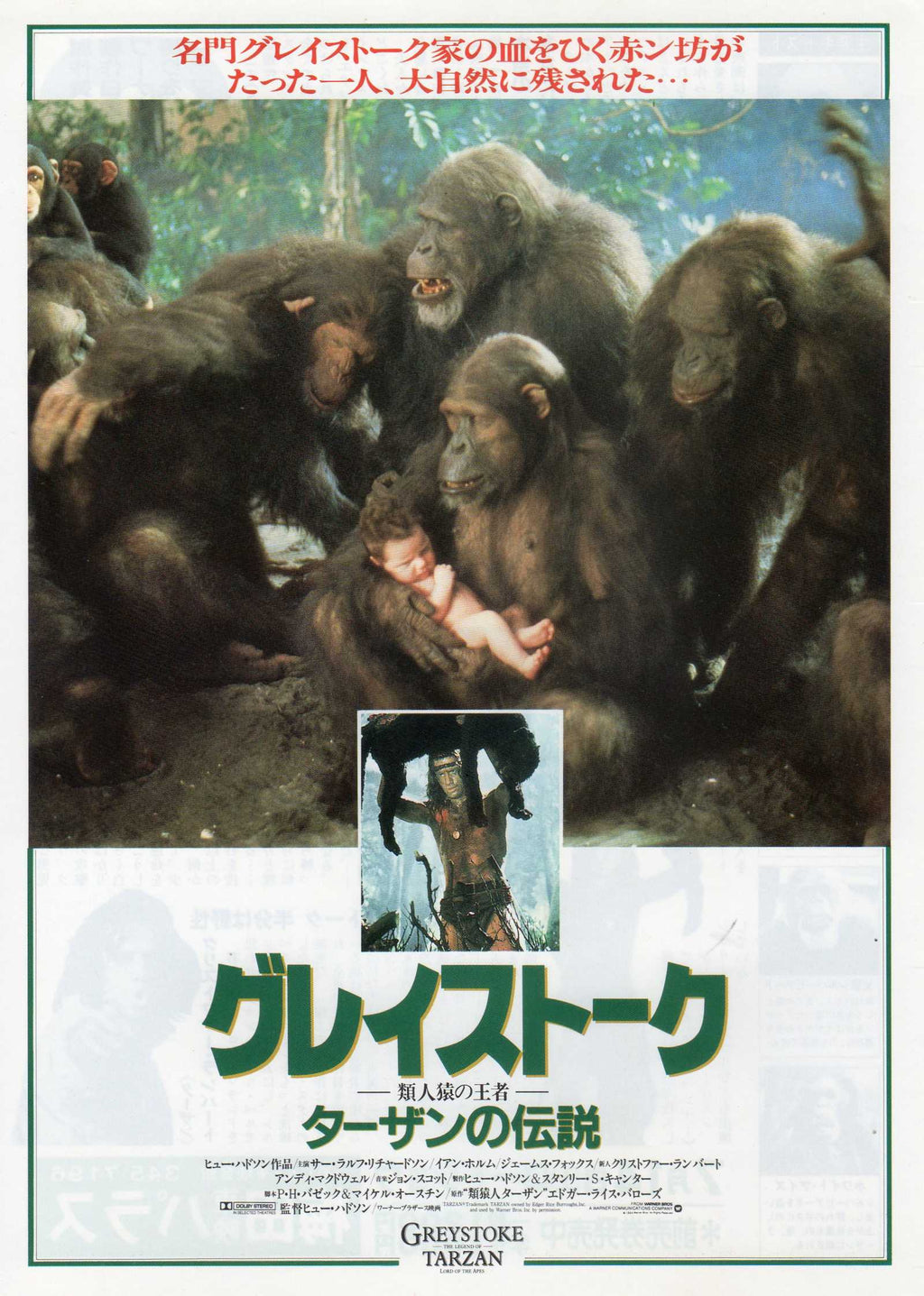 Greystoke The Legend Tarzan Japanese Chirashi Mini Ad-Flyer Poster 1984