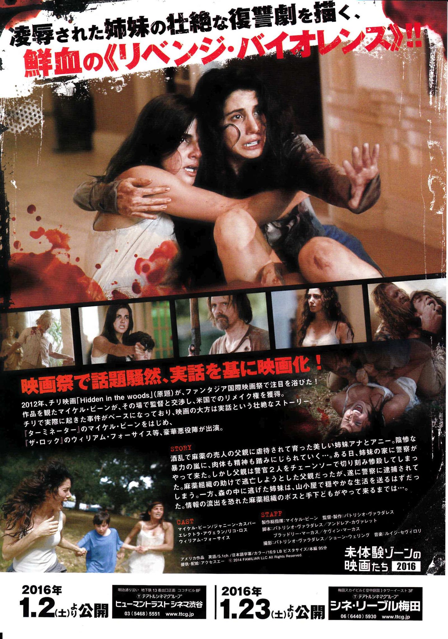 Hidden In The Woods Japanese Chirashi Mini Ad-Flyer Poster 2014