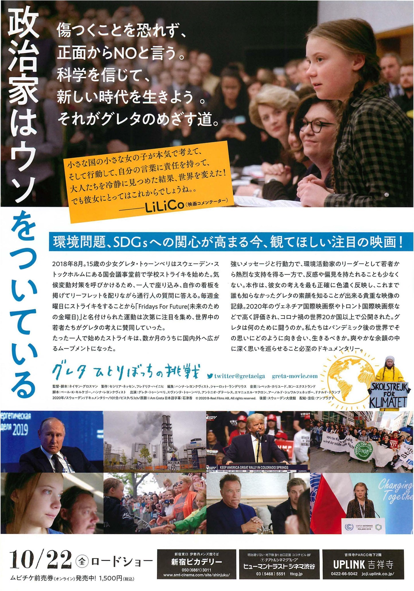 I Am Greta Japanese Chirashi Mini Ad-Flyer Poster 2020 B