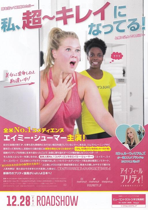 I Feel Pretty Japanese  Chirashi Mini Ad-Flyer Poster 2018 A