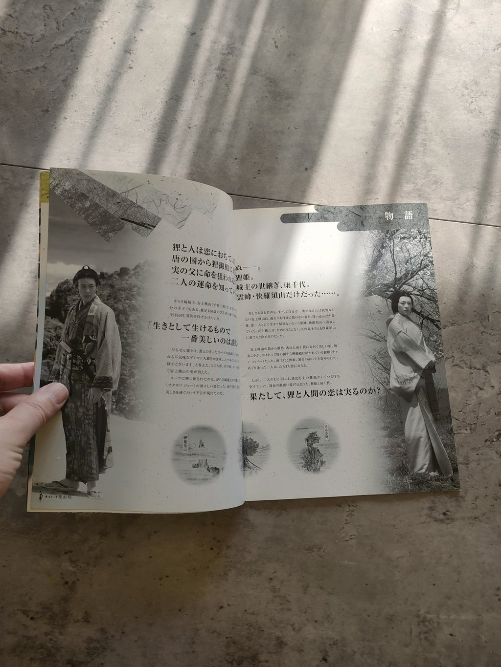 Princess Raccoon Japanese Movie Program Pamphlet 2005 Suzuki Zhang Odagiri