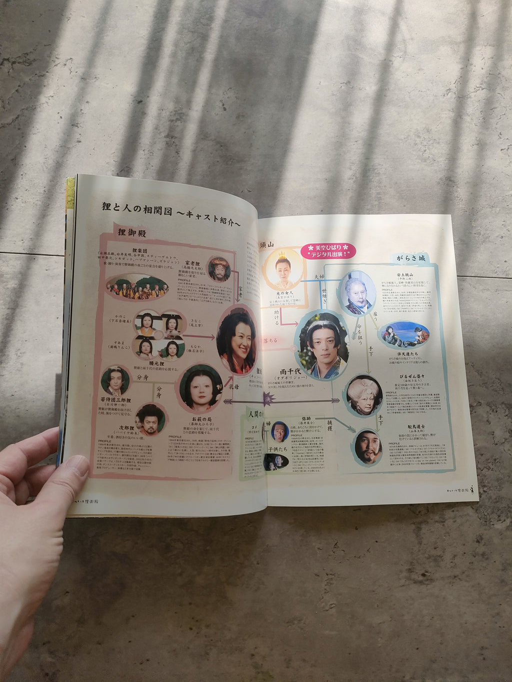Princess Raccoon Japanese Movie Program Pamphlet 2005 Suzuki Zhang Odagiri