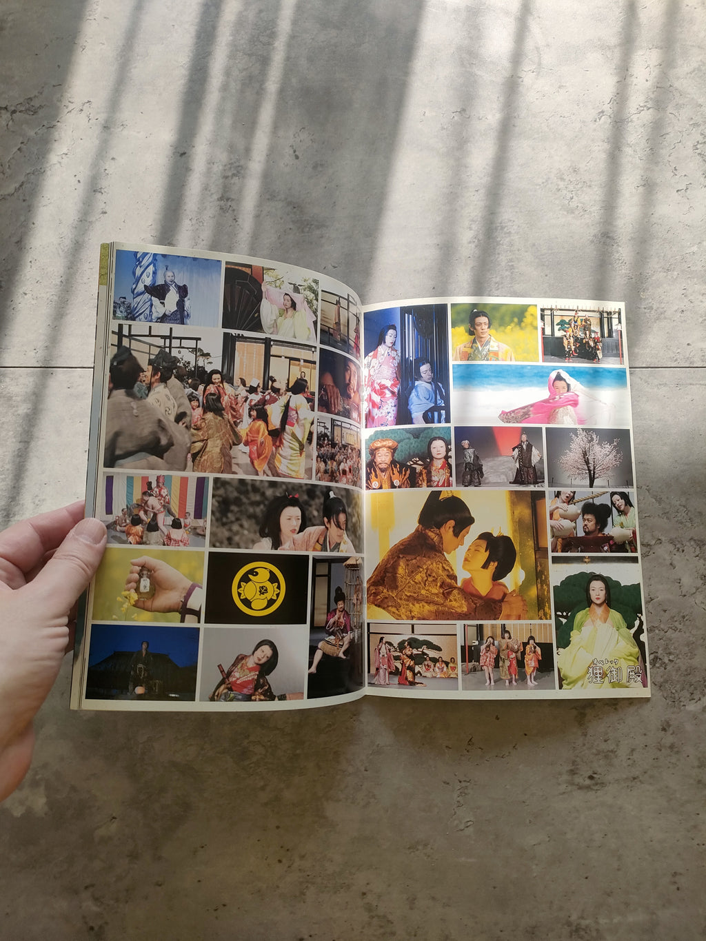 Princess Raccoon Japanese Movie Program Pamphlet 2005 Suzuki Zhang Odagiri