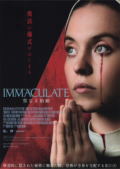Immaculate Japanese Chirashi Mini Ad-Flyer Poster 2024