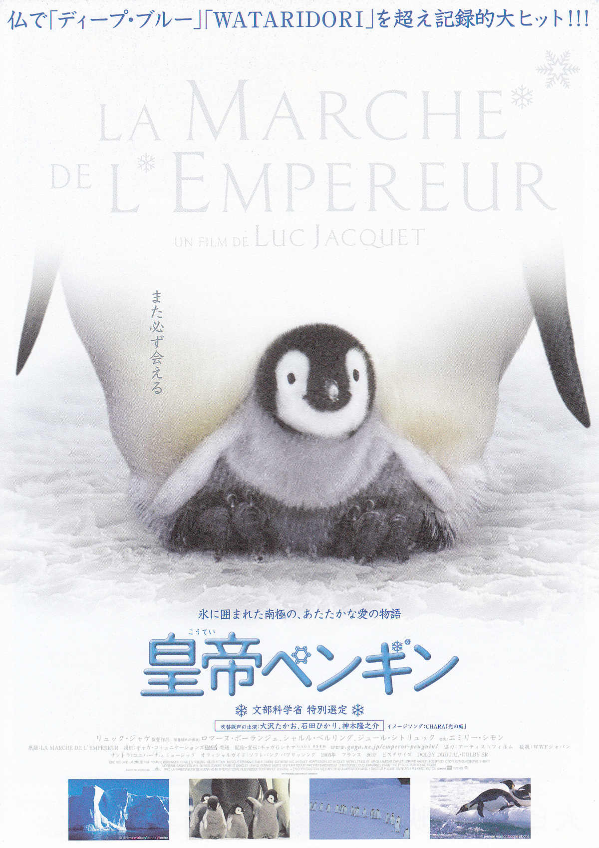 La Marche De L'Empereur Japanese Chirashi Mini Ad-Flyer Poster 2005 B