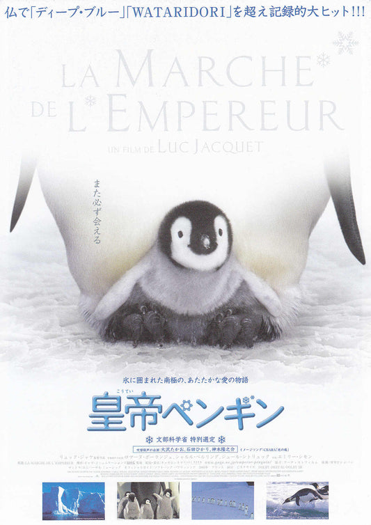 La Marche De L'Empereur Japanese Chirashi Mini Ad-Flyer Poster 2005 B