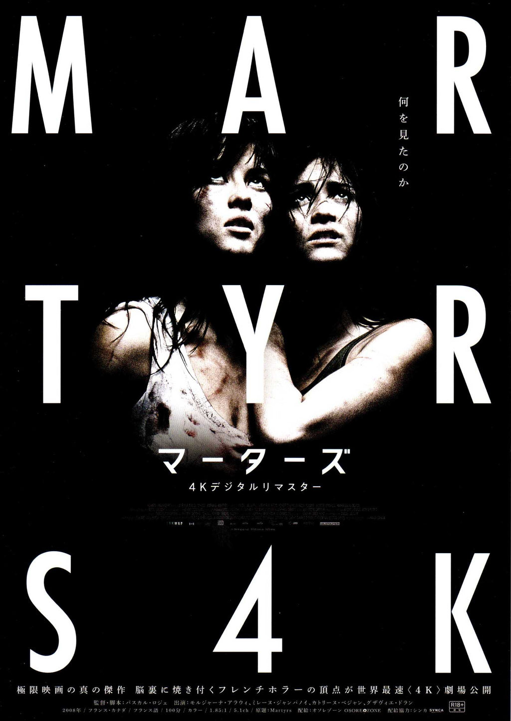 Martyrs Japanese Chirashi Mini Ad-Flyer Poster 2008R 4K A