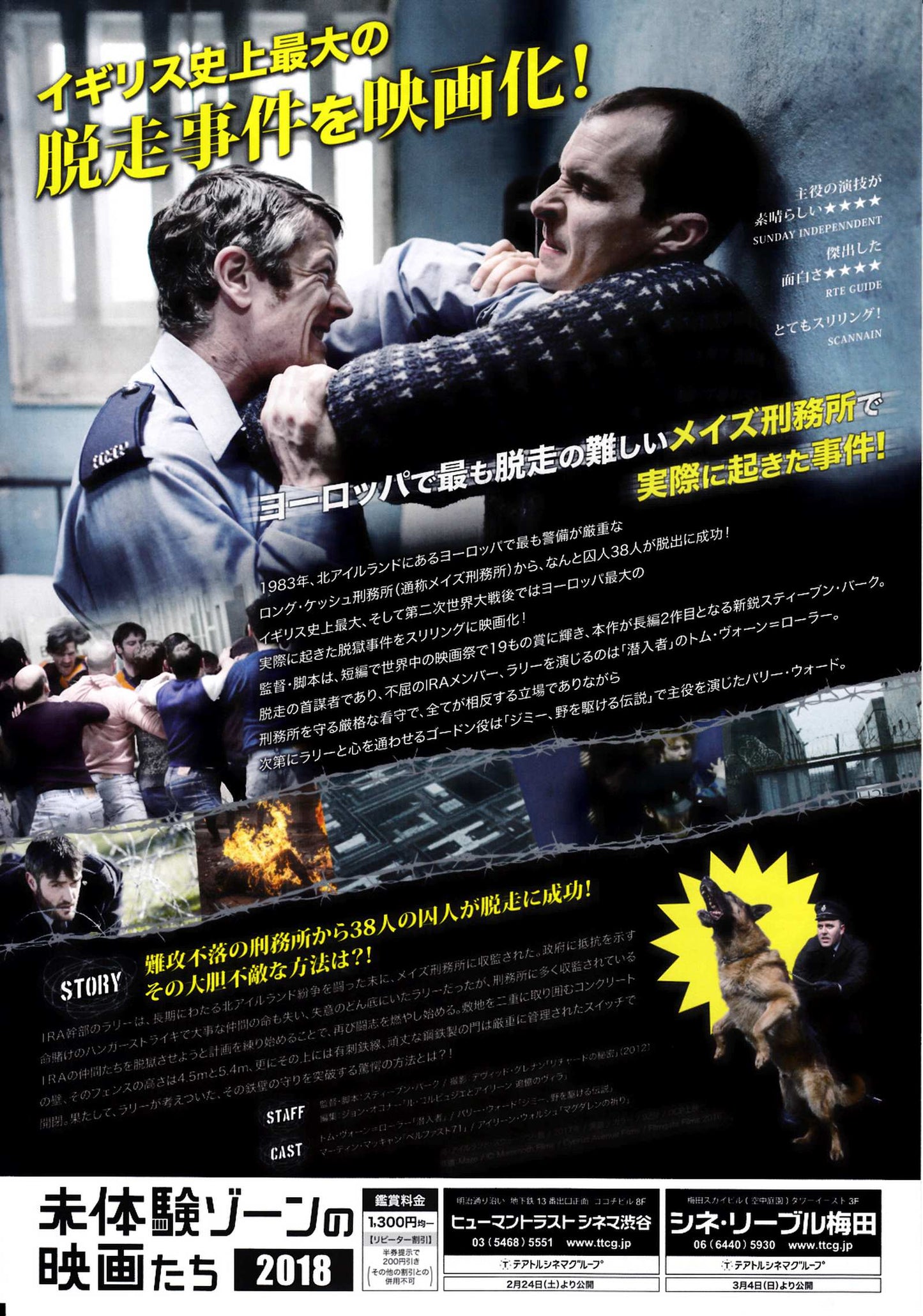 Maze Japanese Chirashi Mini Ad-Flyer Poster 2017