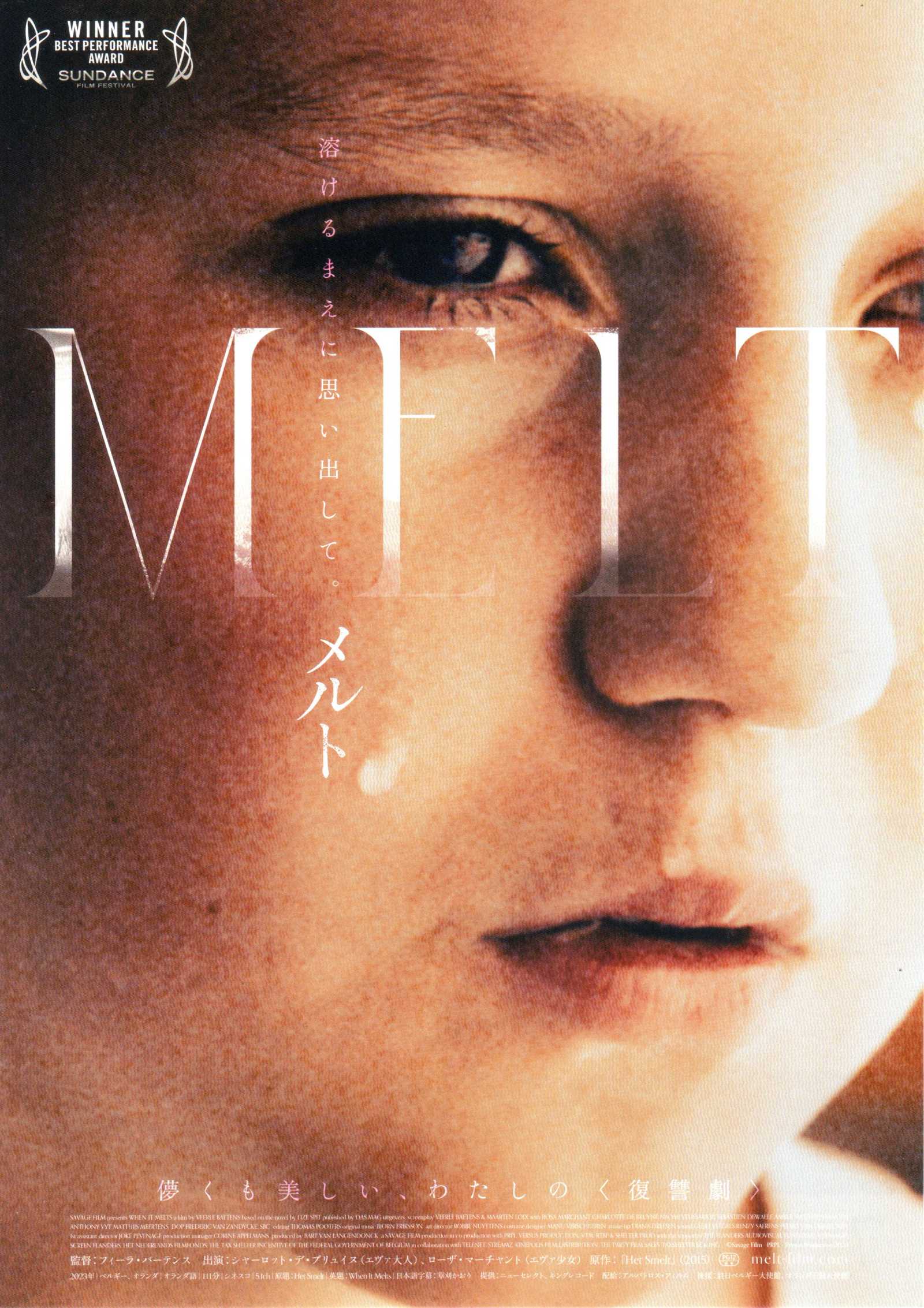 When It Melts - Het Smelt Japanese Chirashi Mini Ad-Flyer Poster 2023