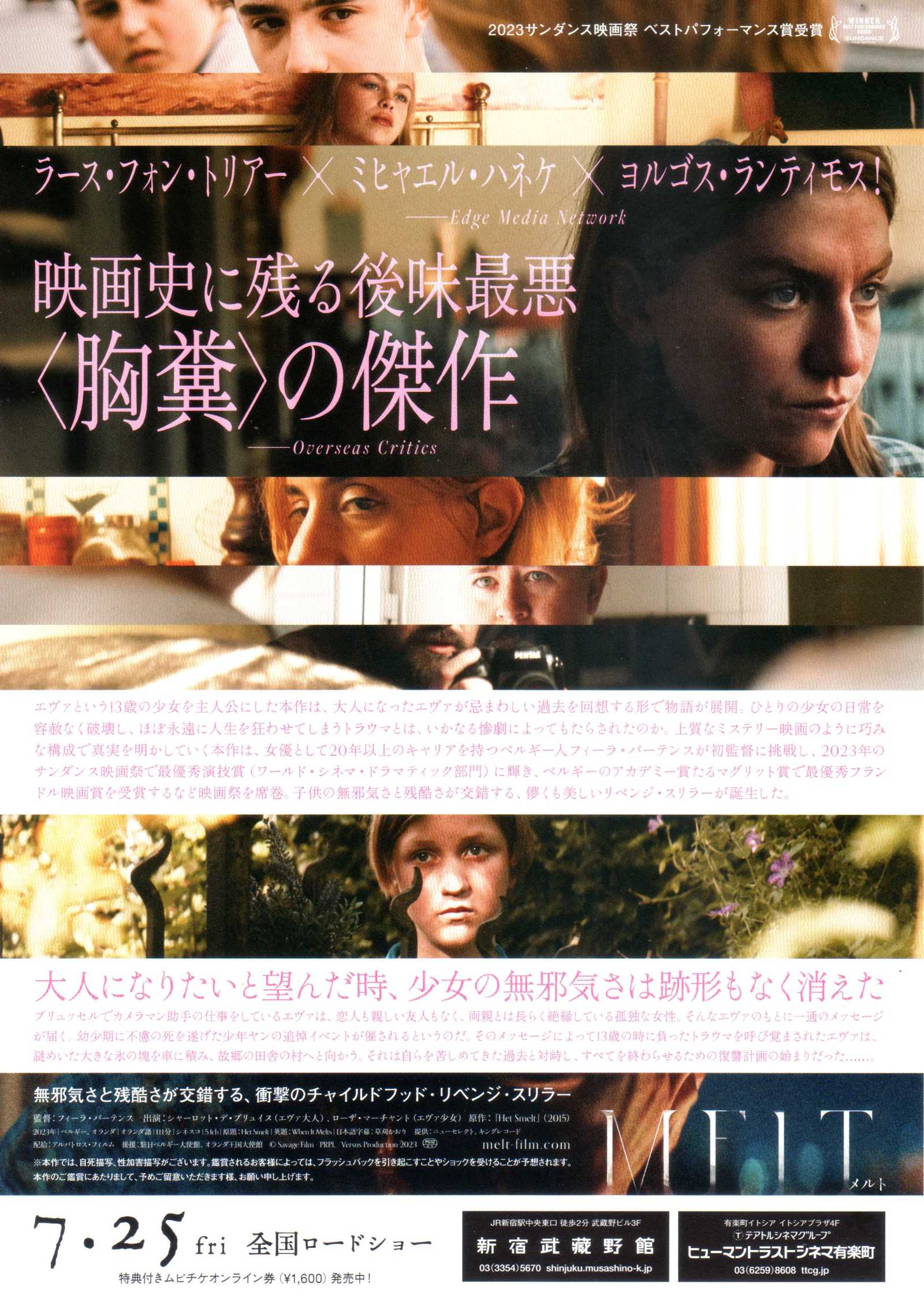 When It Melts - Het Smelt Japanese Chirashi Mini Ad-Flyer Poster 2023