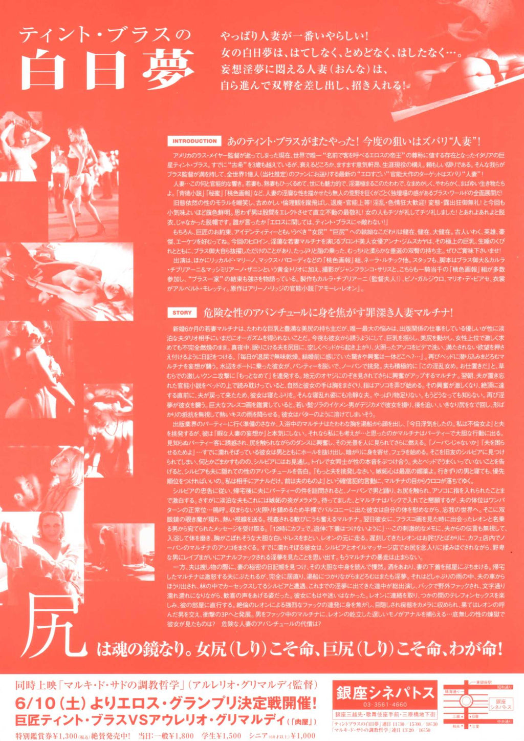 Monamour Japanese Chirashi Mini Ad-Flyer Poster 2005 Tinto Brass