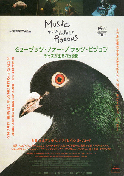 Music For Black Pigeons Japanese Chirashi Mini Ad-Flyer Poster 2022