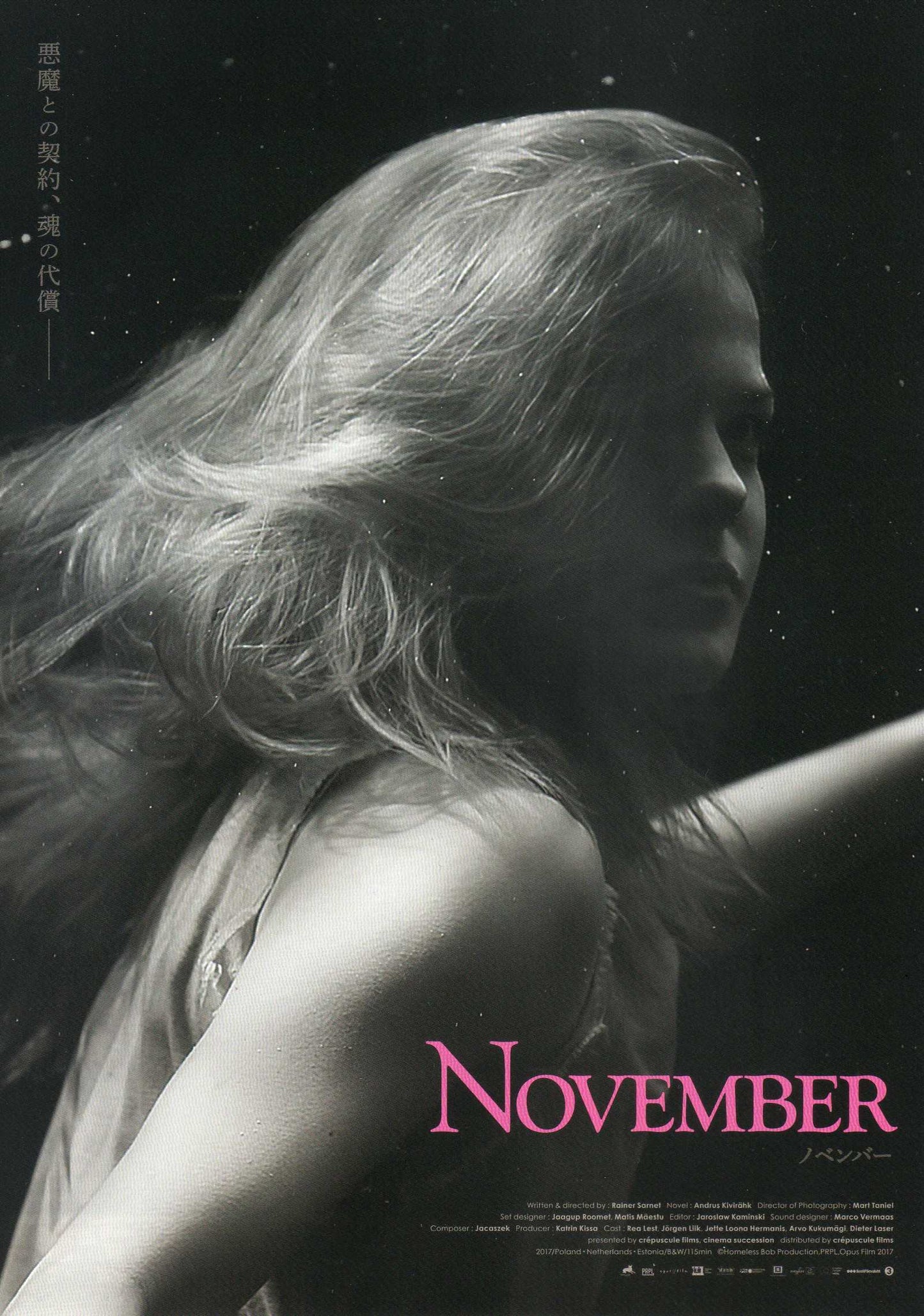 November Japanese Chirashi Mini Ad-Flyer Poster 2017 B