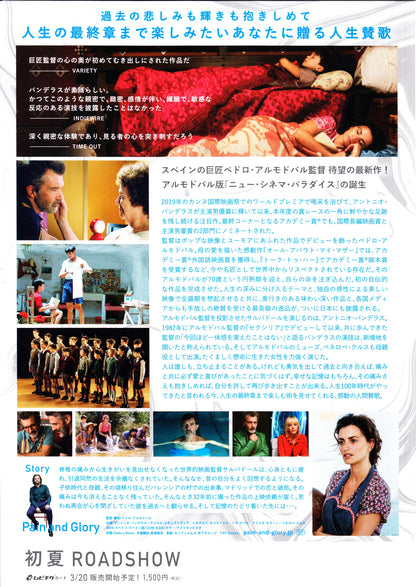 Pain And Glory Japanese Chirashi Mini Ad-Flyer Poster 2019 Almodovar