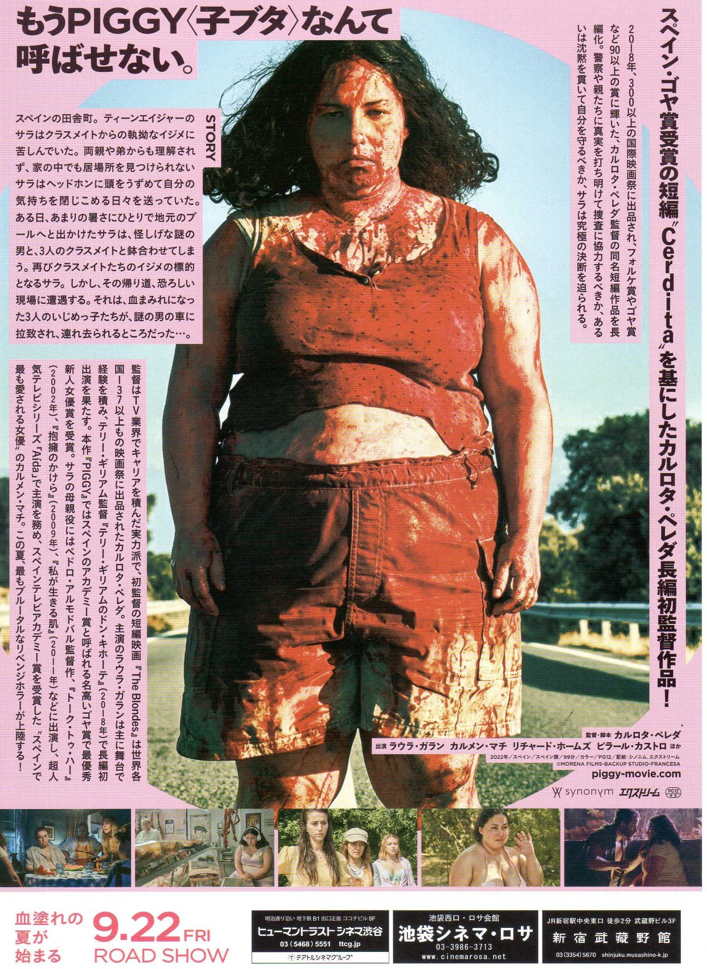 Piggy Japanese Chirashi Mini Ad-Flyer Poster 2022