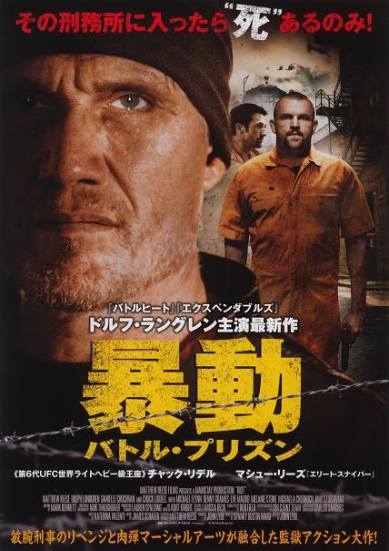 Riot Japanese Chirashi Mini Ad-Flyer Poster 2015