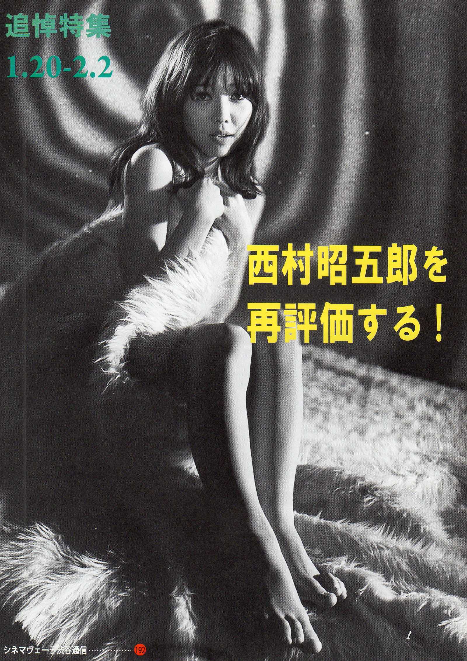Shogoro Nishimura Retrospective Japanese Chirashi Mini Ad-Flyer Poster 2017 4p