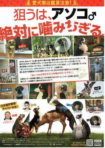 Strays Japanese Chirashi Mini Ad-Flyer Poster 2023