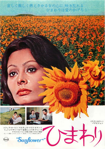 I Girasoli - Sunflower Japanese Chirashi Mini Ad-Flyer Poster 1970