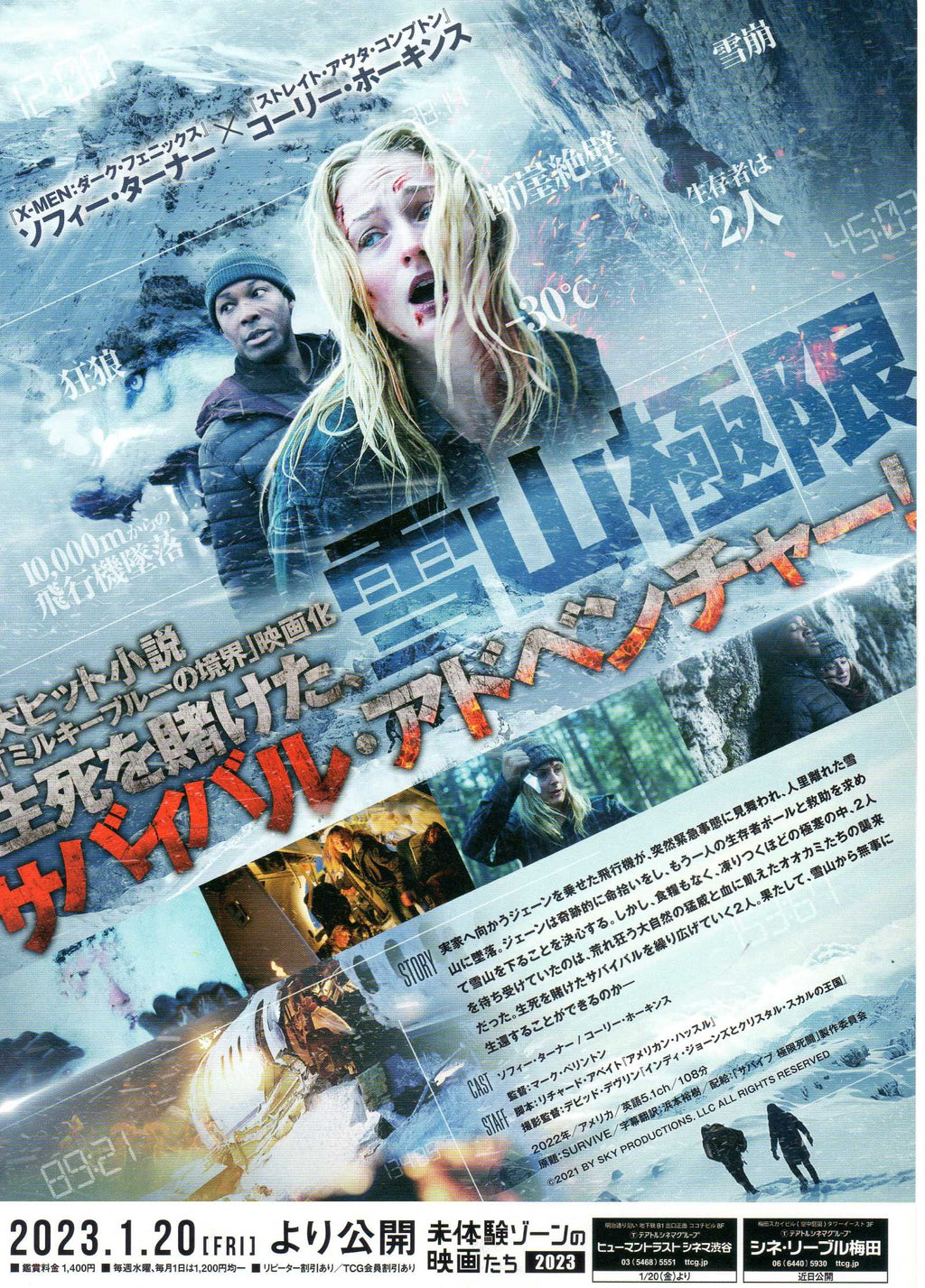 Survive Japanese Chirashi Mini Ad-Flyer Poster 2022