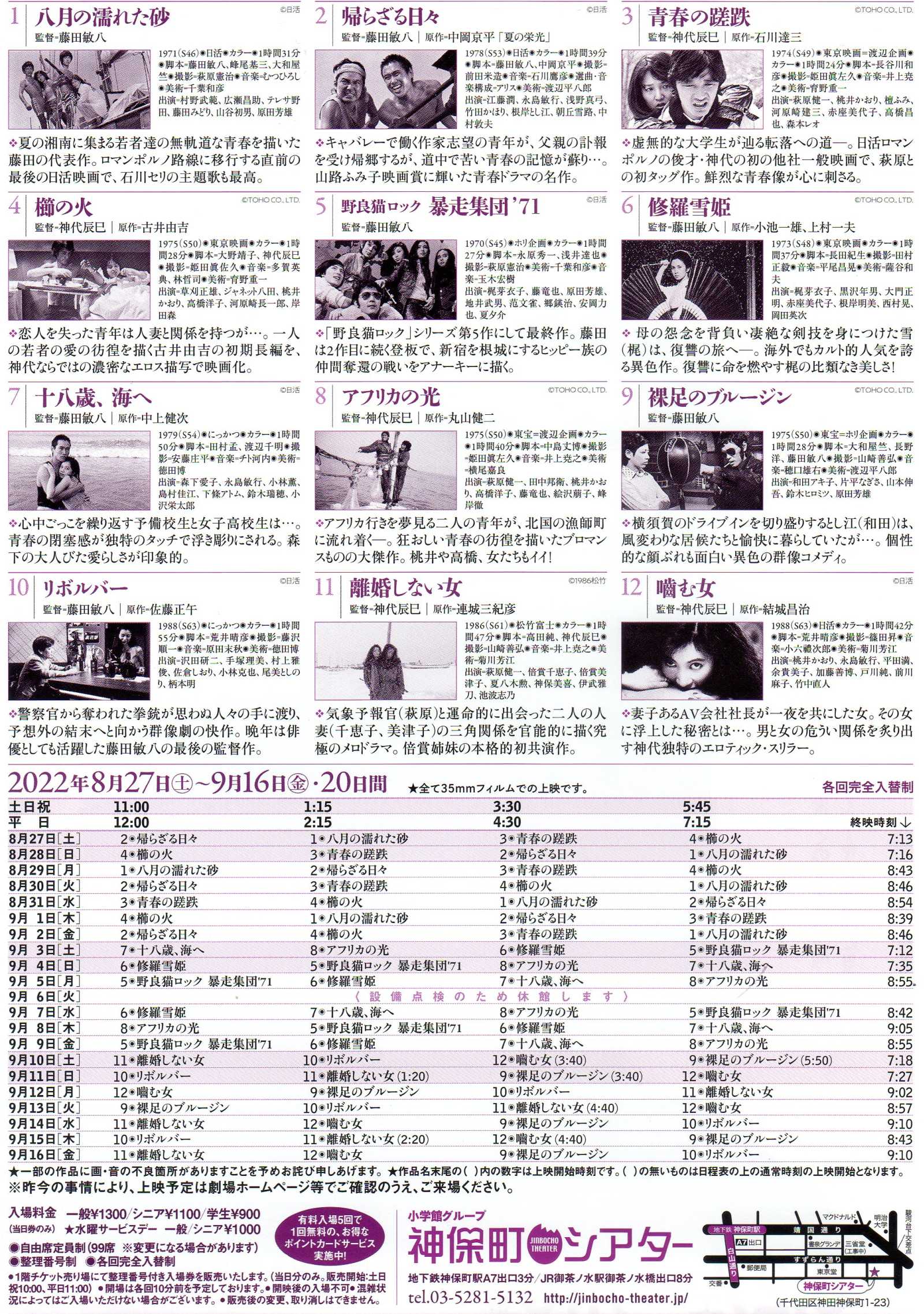 Tatsumi Kojiro and Toshiya Fujita Japanese Chirashi Mini Ad-Flyer Poster 2022