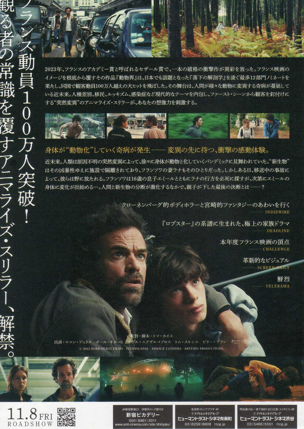 The Animal Kingdom Japanese Chirashi Mini Ad-Flyer Poster 2023
