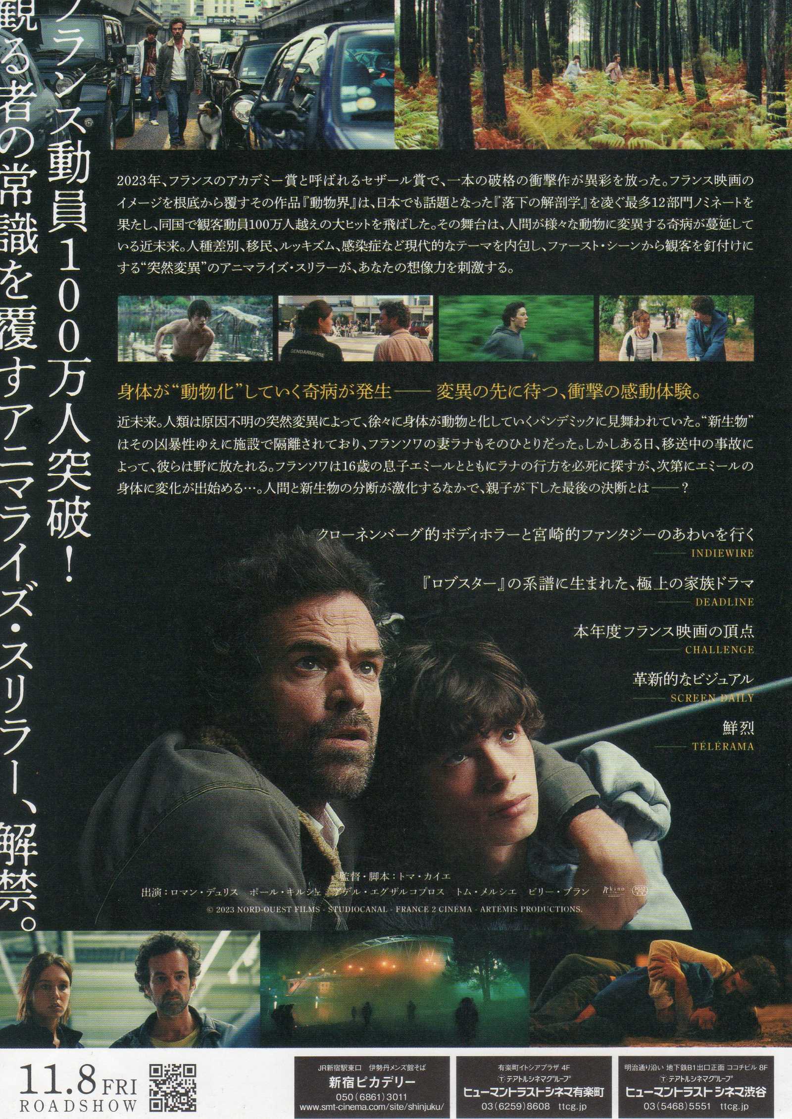 The Animal Kingdom Japanese Chirashi Mini Ad-Flyer Poster 2023