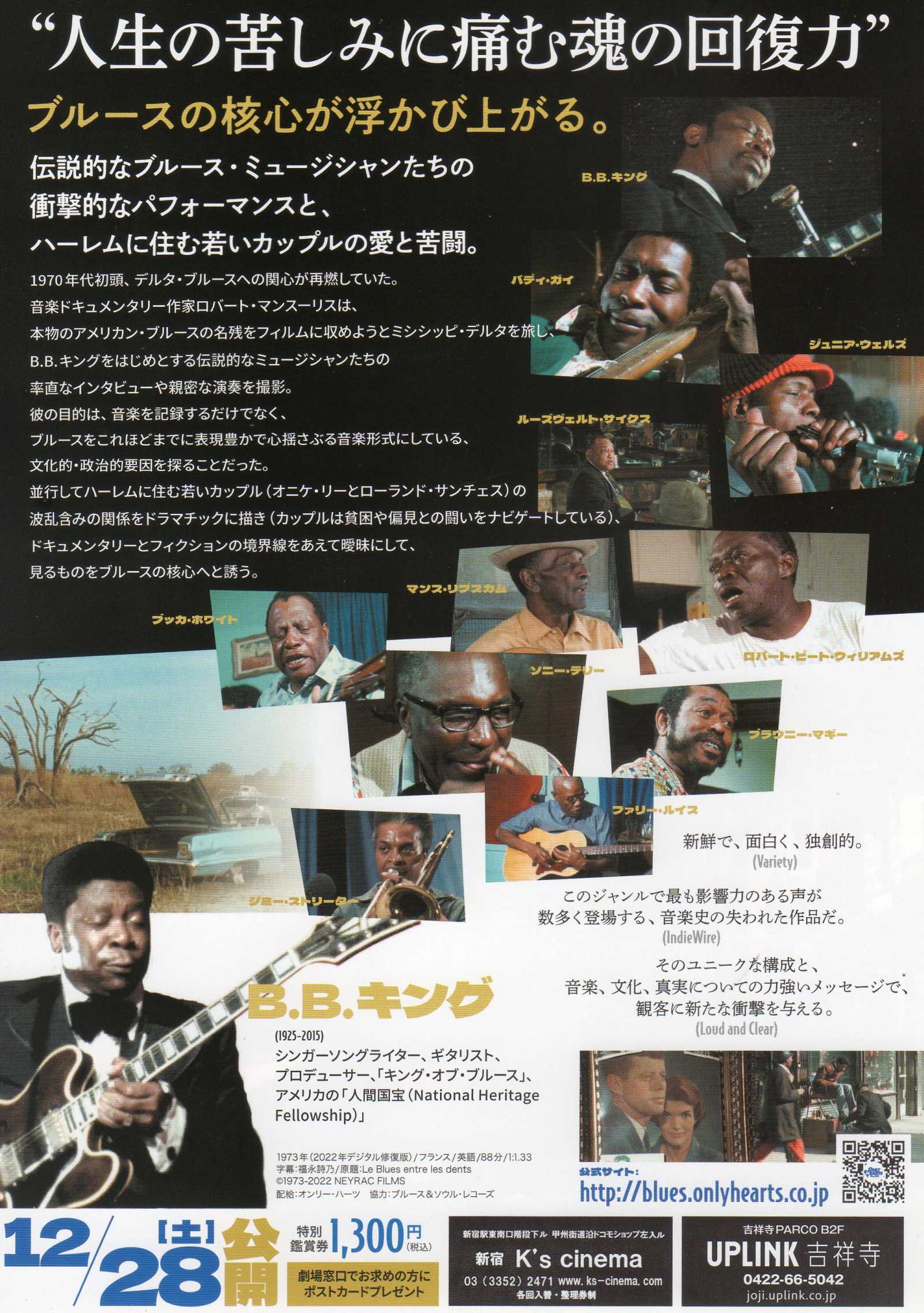 The Blues Under The Skin Japanese Chirashi Mini Ad-Flyer Poster 1973R