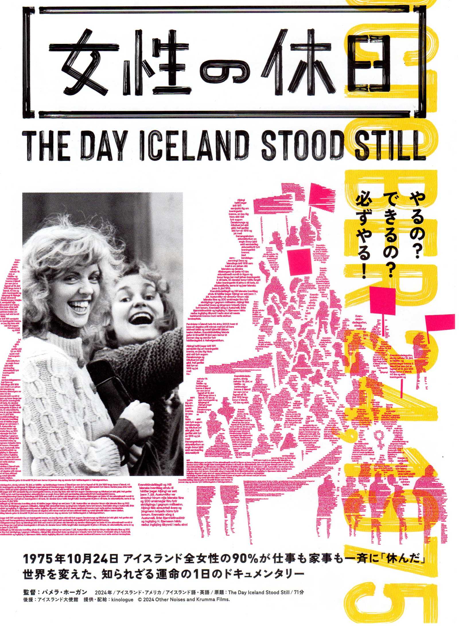 The Day Iceland Stood Still Japanese Chirashi Mini Ad-Flyer Poster 2023