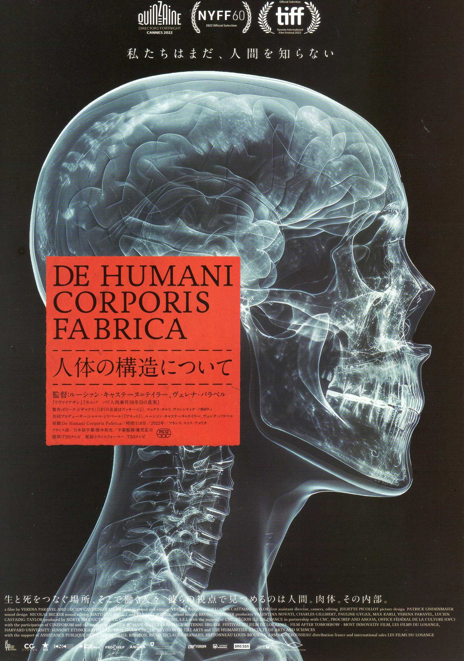 The Fabric of The Human Body Japanese Chirashi Mini Ad-Flyer Poster 2022