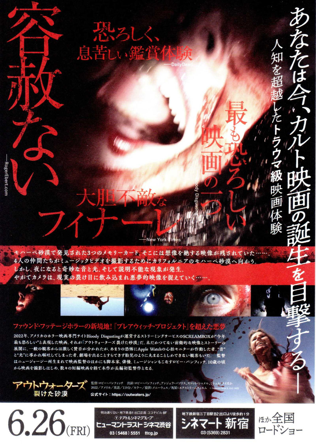 The Outwaters Japanese Chirashi Mini Ad-Flyer Poster 2022