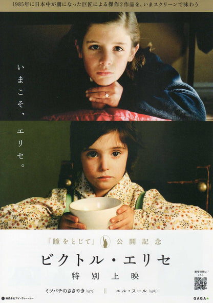Victor Erice Japanese Chirashi Mini Ad-Flyer Poster 2023 Sur Colmena Close your