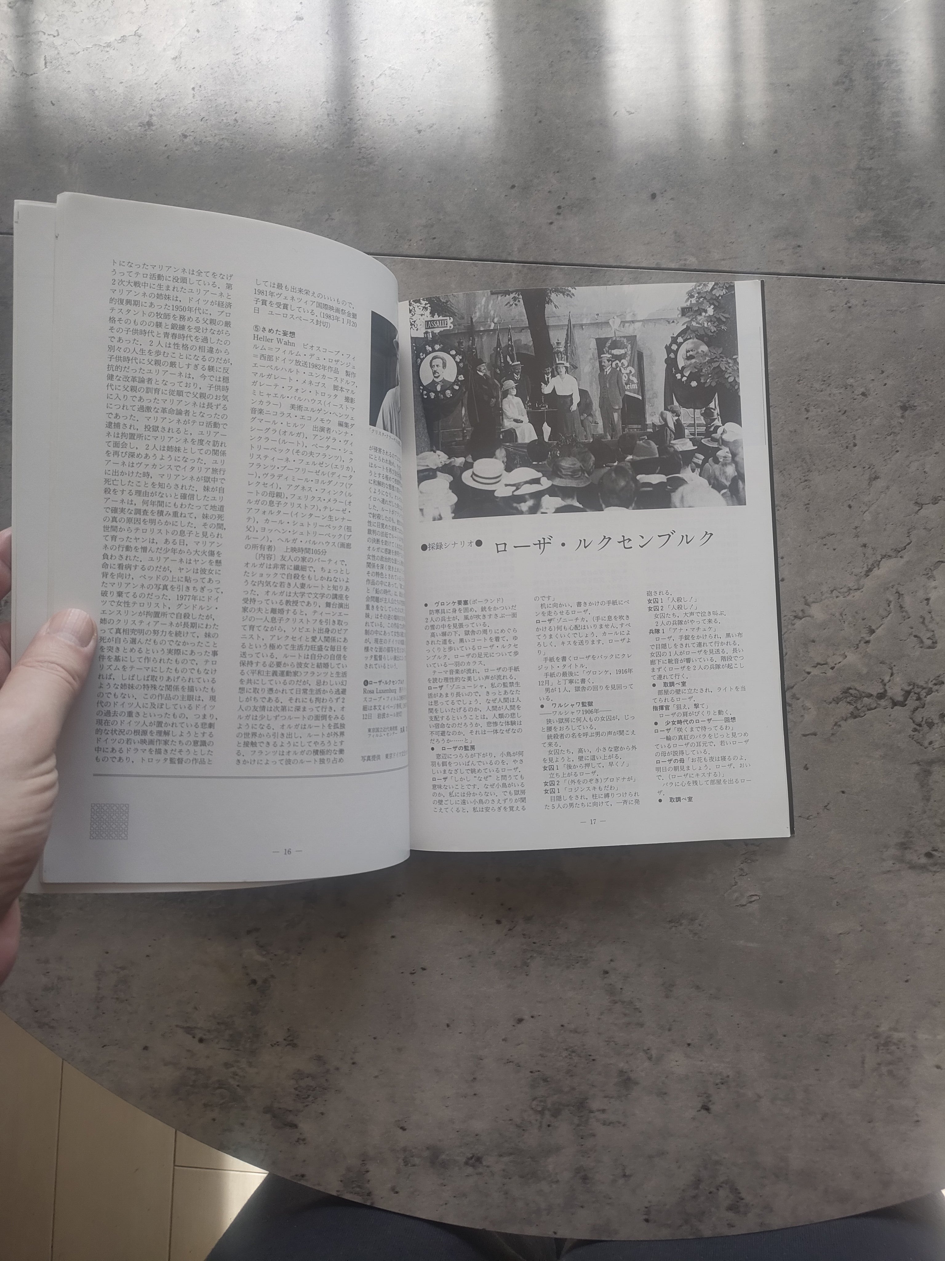 Rosa Luxemburg Japanese Movie Program Pamphlet 1986