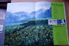 Only Yesterday Japanese Anime Movie Program Pamphlet 1991 Ghibli Takahata
