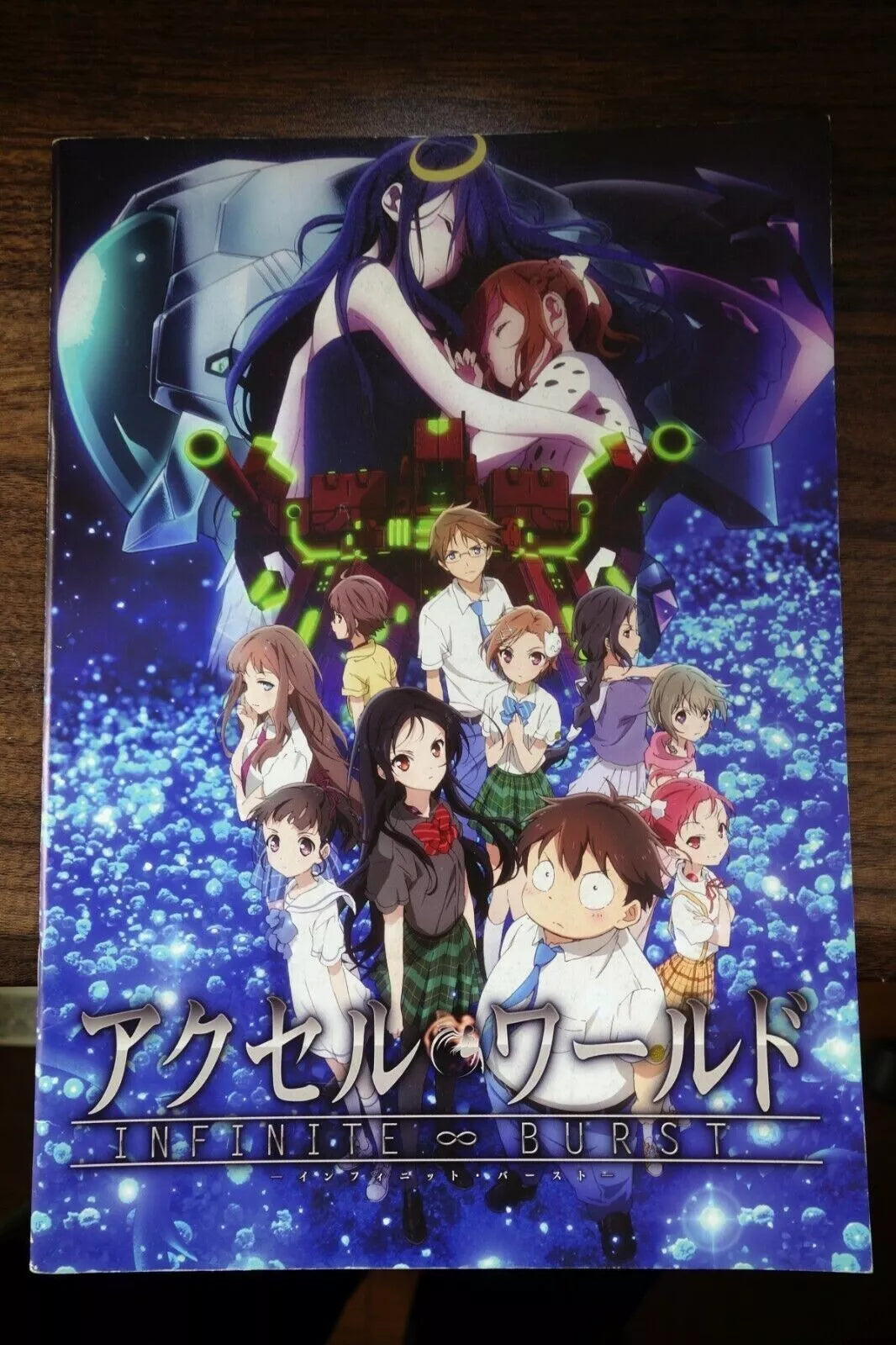 Accel World Infinite Burst Japanese Anime Movie Program Pamphlet 2016