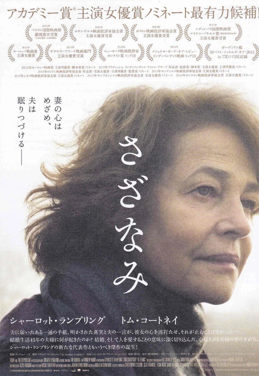 45 Years Japanese Chirashi Mini Ad-Flyer Poster 2015