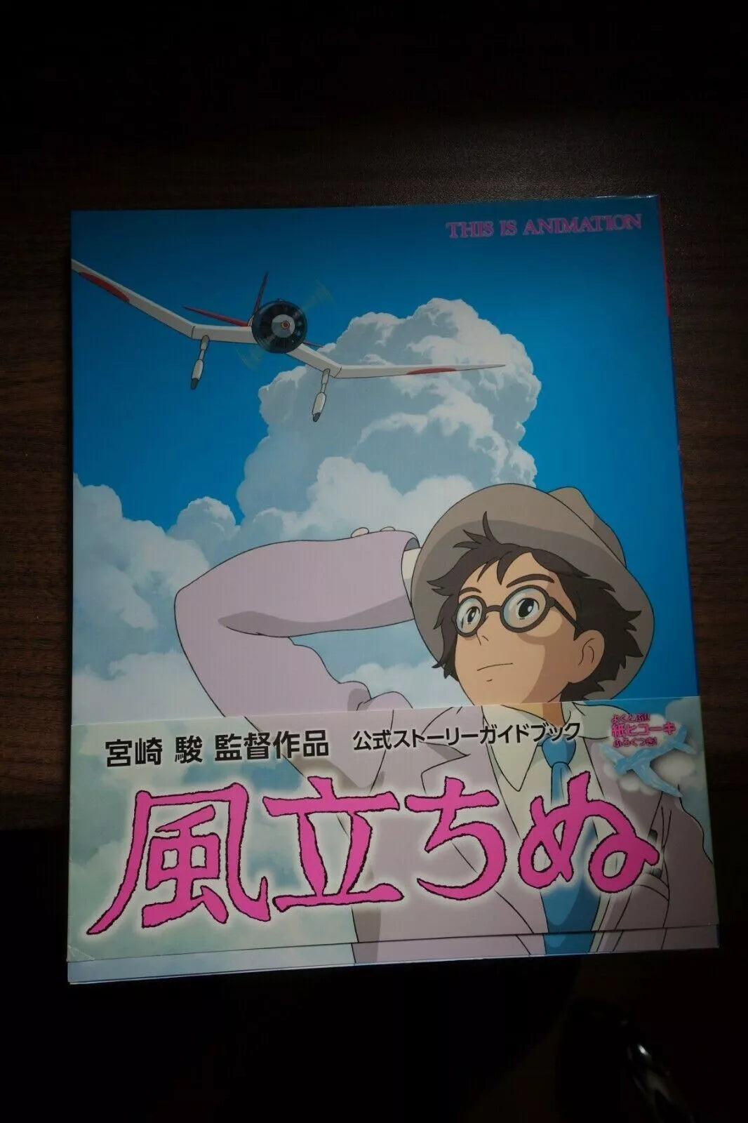 The Wind Rises Japanese Anime Movie Art Book Pamphlet 2013 Miyazaki Ghibli
