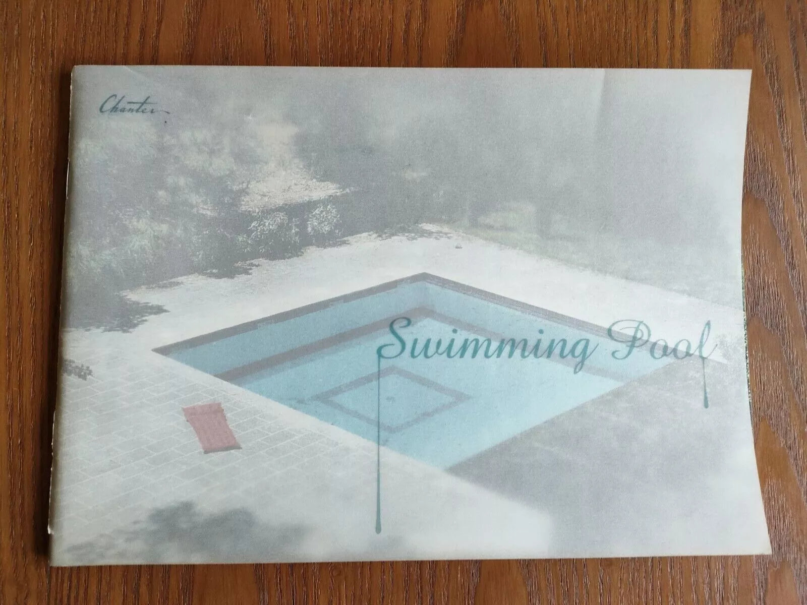 Swimming Pool Japanese Movie Program Pamphlet 2003