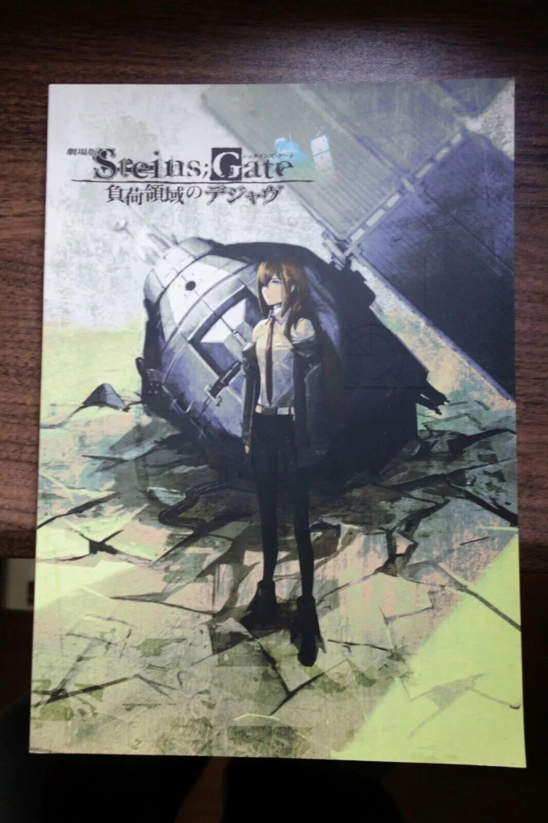 Steins Gate Japanese Anime Movie Program Pamphlet 2013