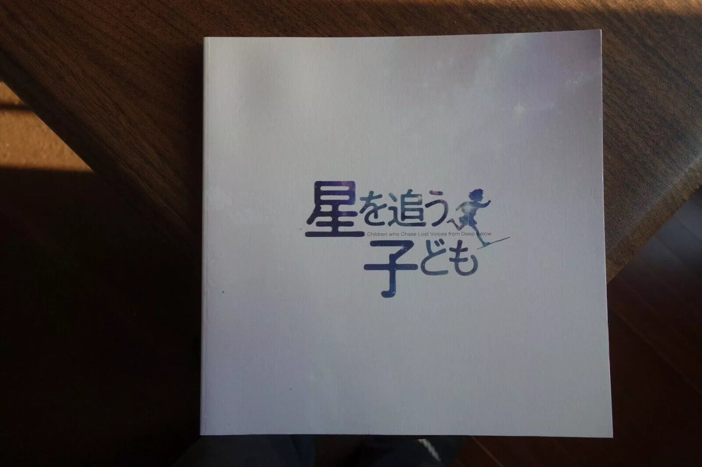 Journey To Agartha Japanese Film Movie Program Pamphlet 2011 Makoto Shinkai