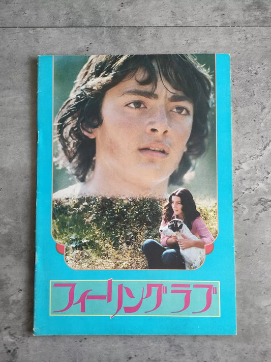 Last Feelings Japanese Movie Program Pamphlet 1978 Deodato