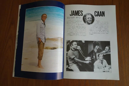 Chapter 2 Japanese Movie Program Pamphlet 1979