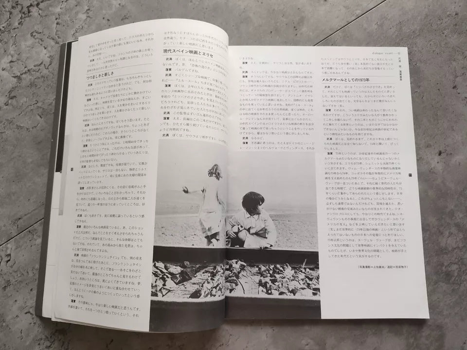 The Spirit of The Beehive Japanese Movie Program Pamphlet 1973