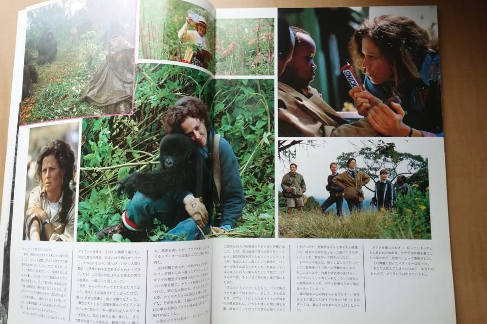 Gorillas In The Mist Japanese Movie Program Pamphlet 1988