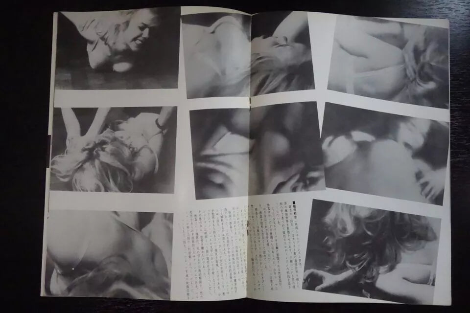 491 Japanese Movie Program Pamphlet 1964